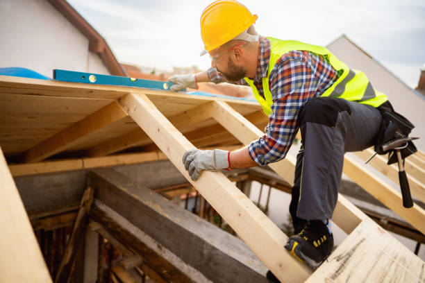 Best Roof Leak Repair  in Allison, IA