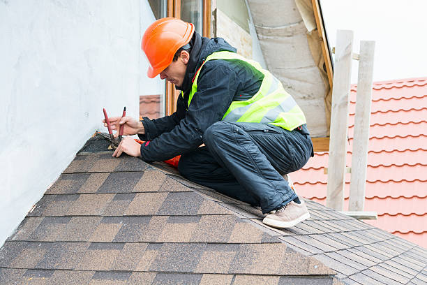 Best Local Roofing Companies  in Allison, IA
